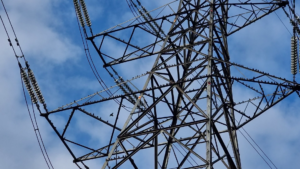 Birds roosting on the power Line pylon at Cheney Row Park, 2025.